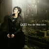 GACKT / Stay the Ride Alive [CD+DVD]