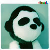 JAMIL(ߡ) / һץۥ [CD+DVD] []