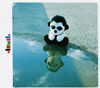 JAMIL(ߡ) / һץۥ []