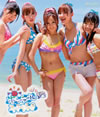 AKB48 / ݥˡơȥ奷(Type-B) [CD+DVD]