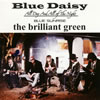 the brilliant green / Blue Daisy