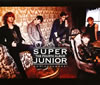 SUPER JUNIOR  4(BONAMANA)