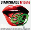 SIAM SHADE ȥӥ塼