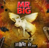 MR.BIGե˾Υ˥塼Х֤ʤ꡼