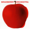 ζǡ٤βڤôBRADBERRY ORCHESTRA˥˽о졪