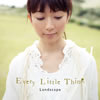 Every Little Thing / Landscape