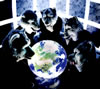 MAN WITH A MISSION / MASH UP THE WORLD []