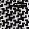 GRAPEVINE ／ Best of GRAPEVINE 1997-2012