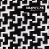 GRAPEVINE / Best of GRAPEVINE 1997-2012 [2CD]