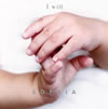 SOPHIA / I will /  [CD+DVD]