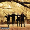 The SALOVERS / ʸؤΥ