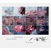NHKϥɥޡȬŤκץꥸʥ롦ɥȥå ץ꡼ / ζ졦Υ֥業 [楸㥱åȻ] [2CD]