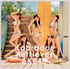 AKB48 / ֥ɡ롦ȥС(Type B) [CD+DVD] [][]