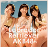 AKB48 / ラブラドール・レトリバー(Type 4) [CD+DVD] [限定]