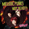 NAMBA69 / MELODIC PUNKS NOT DEAD!!!