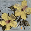  / ISLAND AFTERNOON 3-DA KINE OF DA BUDS-