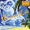 KNOCK OUT MONKEY  Wonderful Life