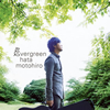   / evergreen [2CD] []