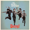 THE BAWDIES / Boys!