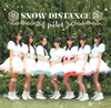 palet  SNOW DISTANCE(TYPE A)