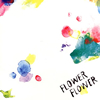 FLOWER FLOWER / 