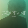 GRAPEVINE / Burning tree [CD+DVD] []