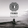 D'ERLANGER / Spectacular Nite-ˤĤ-