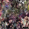 Story of Hope/Historia EP [CD]