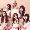 Apink / PINK SEASON [CD+DVD] []