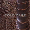 vistlip / COLD CASE [CD+DVD]