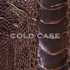 vistlip / COLD CASE [CD+DVD]