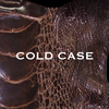 vistlip  COLD CASE