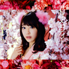 AKB48 / ϥǥ(Type C) [CD+DVD] [][]