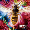 MUCC  ϥ