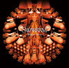 SWARRRM2000ǯƬβ򥳥ѥ뤷20 Year Chaos٤꡼