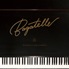 SUEMITSU&THE SUEMITH / Bagatelle [CD+DVD]