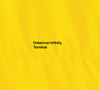 DOBERMAN INFINITY / TERMINAL [ǥѥå] [CD+2DVD] []