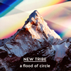 a flood of circle / NEW TRIBE [CD+DVD] []