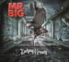 MR.BIG / ǥե󥰡ƥ [CD+DVD] []