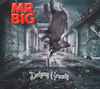 MR.BIG / ǥե󥰡ƥ [ǥѥå] []