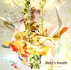 (K)NoW NAME / Baby's breath