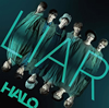 HALO / LIAR [CD+DVD] [][]