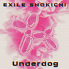 EXILE SHOKICHI / Underdog
