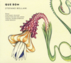 ƥեΡܥ顼 - QUE BOM(ܥ) [CD] [楸㥱åȻ]