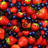 ɦ / STRAWBERRY TIMES(Berry Best of HiGE) [ǥѥå] [2CD] []