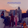 MAMAMOO - Wind flower-Japanese ver.- [CD+DVD] []