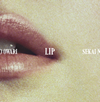 SEKAI NO OWARI / Lip [楸㥱åȻ] [CD+DVD] []