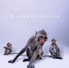 NEVERLAND - Reincarnation [CD+DVD] []