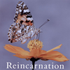 NEVERLAND - Reincarnation(̾A) [CD]