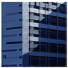 ꡼ץϥ /  [CD+DVD] []